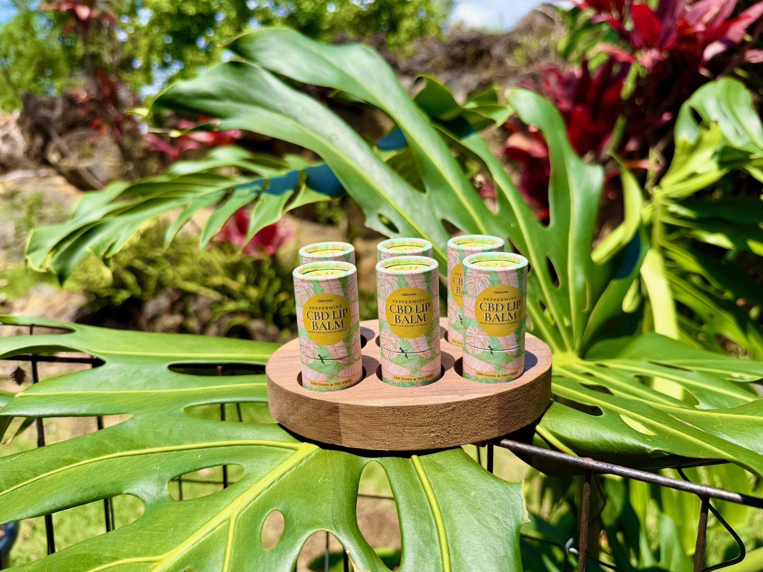 CBD LIp Balm Peppermint - Image 2